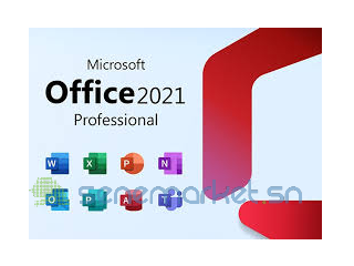 Microsoft Office 2021 Professionnel