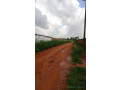 terrain-de-1000-metres-carres-a-vendre-a-nguerigne-sn-small-1
