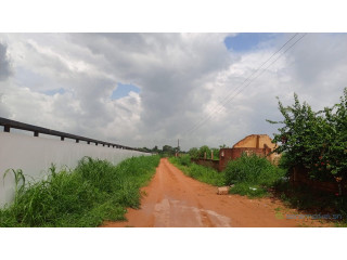 Terrain de 1000 mètres carrés à vendre à Nguérigne Sn