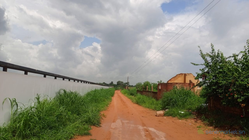 terrain-de-1000-metres-carres-a-vendre-a-nguerigne-sn-big-0
