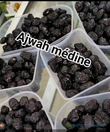 dattes-ajwah-premium-de-medine-big-1
