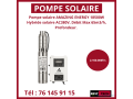 pompe-small-3