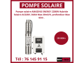 pompe-small-2