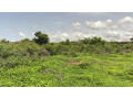 terrains-de-225-metres-carres-a-vendre-a-gandigal-senegal-small-1