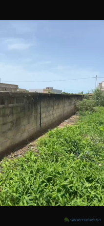 terrains-de-225-metres-carres-a-vendre-a-gandigal-senegal-big-0
