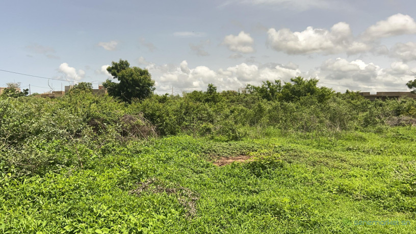 terrains-de-225-metres-carres-a-vendre-a-gandigal-senegal-big-1