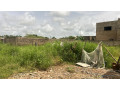 terrain-de-297-metres-carres-a-vendre-a-ngaparou-senegal-small-1