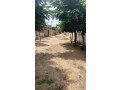 terrain-de-297-metres-carres-a-vendre-a-ngaparou-senegal-small-4