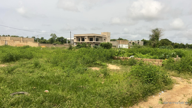 terrain-de-297-metres-carres-a-vendre-a-ngaparou-senegal-big-3