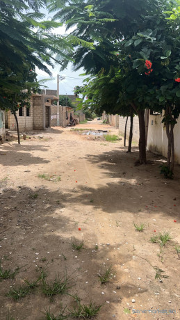 terrain-de-297-metres-carres-a-vendre-a-ngaparou-senegal-big-4