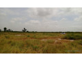 terrains-de-200-metres-carres-a-vendre-a-thies-senegal-small-1