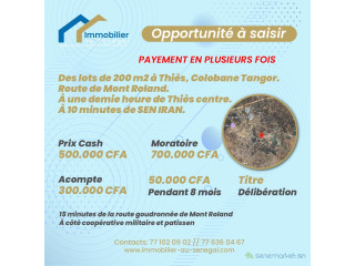 Terrains de 200 mètres carrés à vendre à Thiès Sénégal