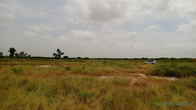 terrains-de-200-metres-carres-a-vendre-a-thies-senegal-big-1