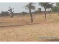 terrain-de-2-hectares-vers-notto-diobass-small-2