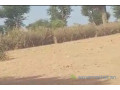 terrain-de-2-hectares-vers-notto-diobass-small-0