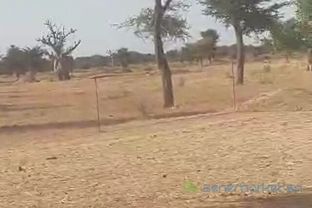 terrain-de-2-hectares-vers-notto-diobass-big-2