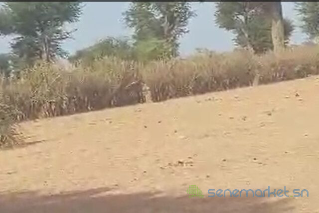 terrain-de-2-hectares-vers-notto-diobass-big-0