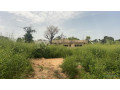 terrains-a-vendre-a-saly-senegal-small-1