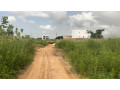 terrains-a-vendre-a-saly-senegal-small-0