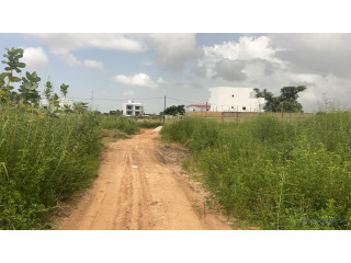 Terrains à vendre à Saly Sénégal