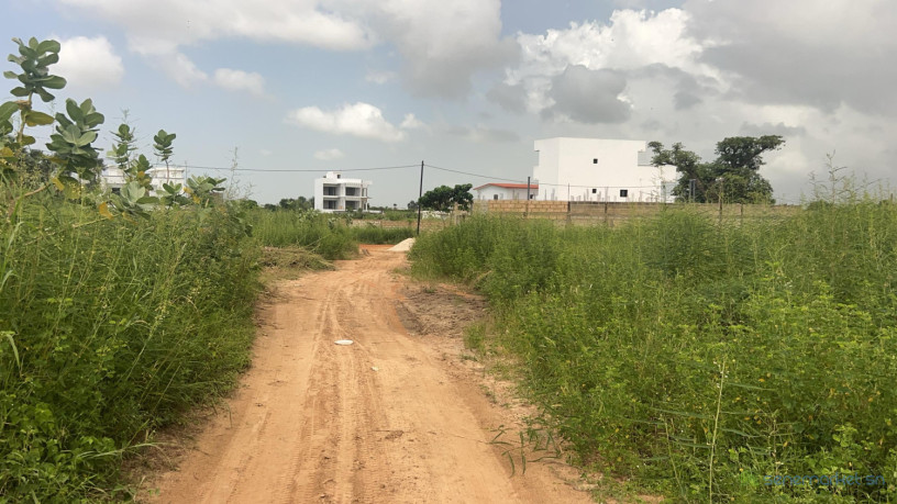 terrains-a-vendre-a-saly-senegal-big-0