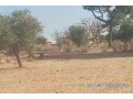 terrain-de-170-hectare-vers-notto-diobass-small-0