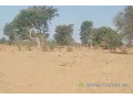 terrain-de-170-hectare-vers-notto-diobass-small-1