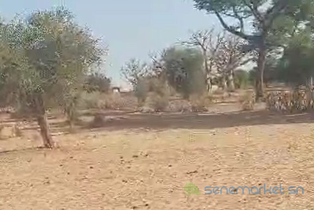 terrain-de-170-hectare-vers-notto-diobass-big-0