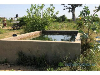 Ferme de 4,20 hectares vers Tassette