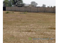 terrain-de-16-hectare-vers-tataguine-small-2