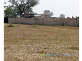 Terrain de 1,6 hectare vers Tataguine
