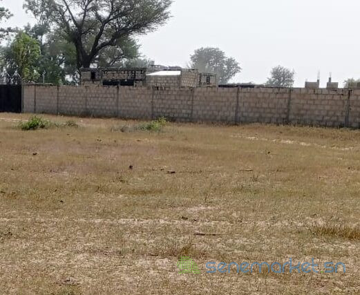terrain-de-16-hectare-vers-tataguine-big-0