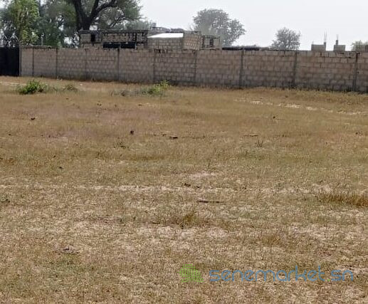 terrain-de-16-hectare-vers-tataguine-big-2