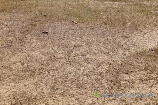 terrain-de-16-hectare-vers-tataguine-big-1