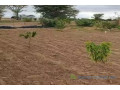 verger-de-6000-m2-vers-thienaba-small-0