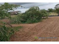 verger-de-6000-m2-vers-thienaba-small-2