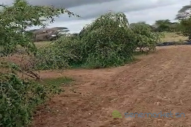 verger-de-6000-m2-vers-thienaba-big-2
