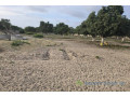 location-poulaillers-6500-m2-vers-bambilor-small-2