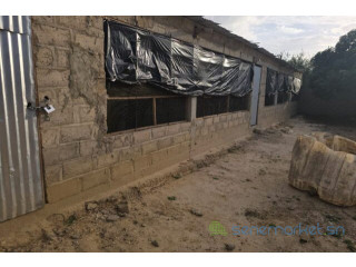 Location Poulaillers 6500 m² vers Bambilor