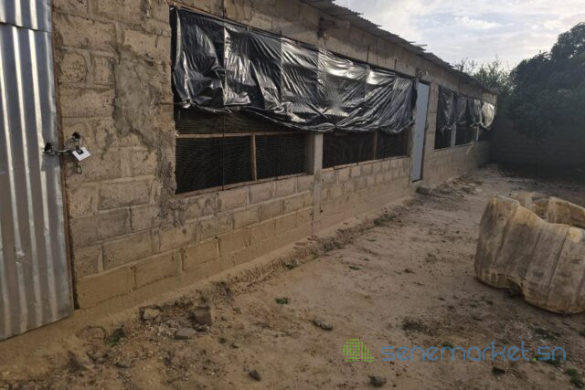 location-poulaillers-6500-m2-vers-bambilor-big-0