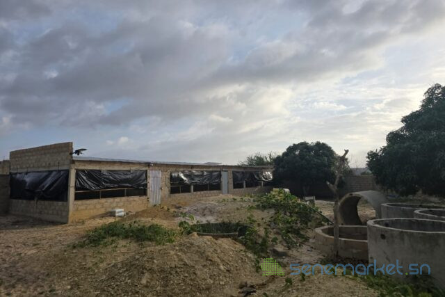 location-poulaillers-6500-m2-vers-bambilor-big-1