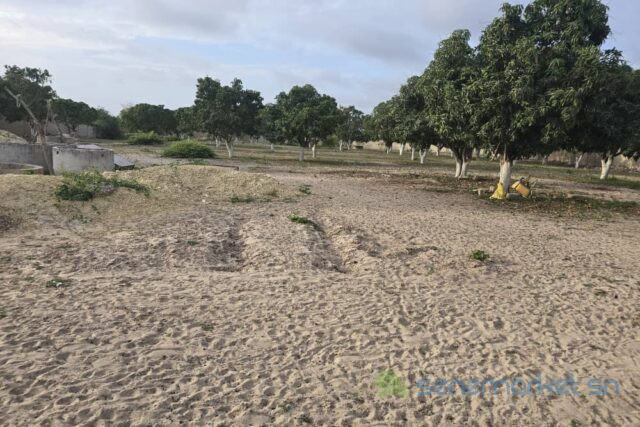 location-poulaillers-6500-m2-vers-bambilor-big-2