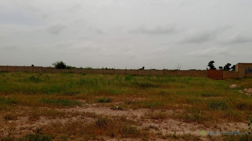 terrains-de-180-metres-carres-a-vendre-a-thies-senegal-big-2