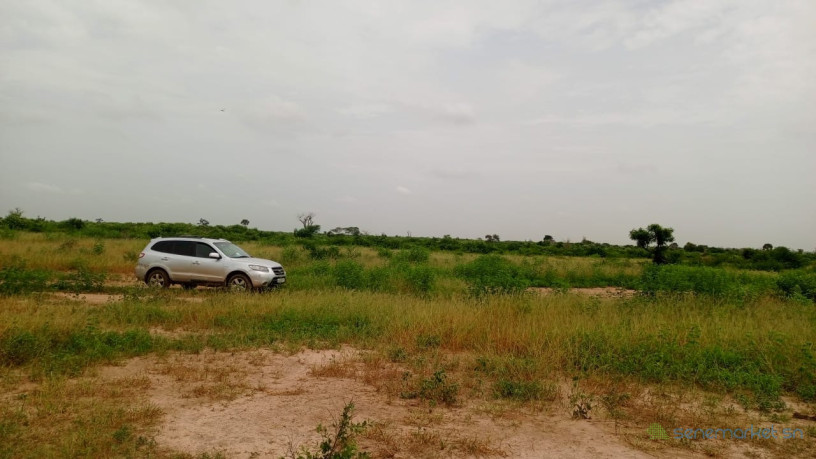 terrains-de-180-metres-carres-a-vendre-a-thies-senegal-big-3