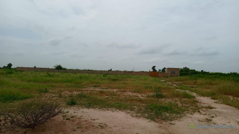 terrains-de-180-metres-carres-a-vendre-a-thies-senegal-big-1