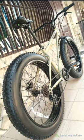 velo-fatbike-big-0
