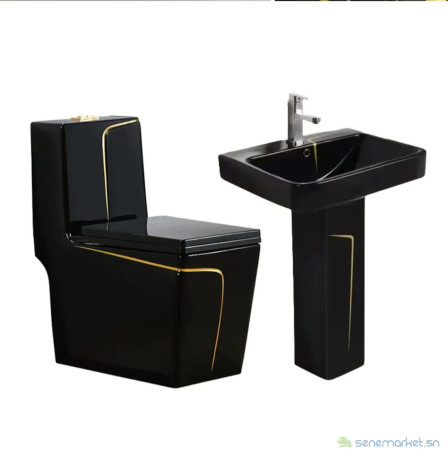 toilettes-couleur-noir-dore-big-0