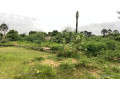 terrain-de-1200-metres-carres-a-vendre-a-saly-sen-small-0