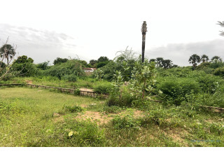 Terrain de 1200 mètres carrés à vendre à Saly Sen