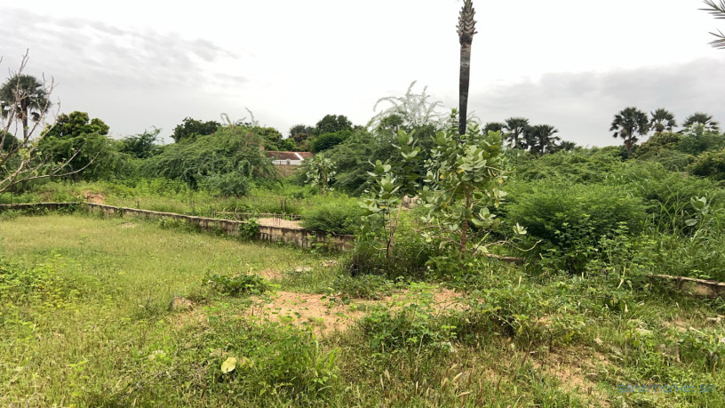 terrain-de-1200-metres-carres-a-vendre-a-saly-sen-big-0